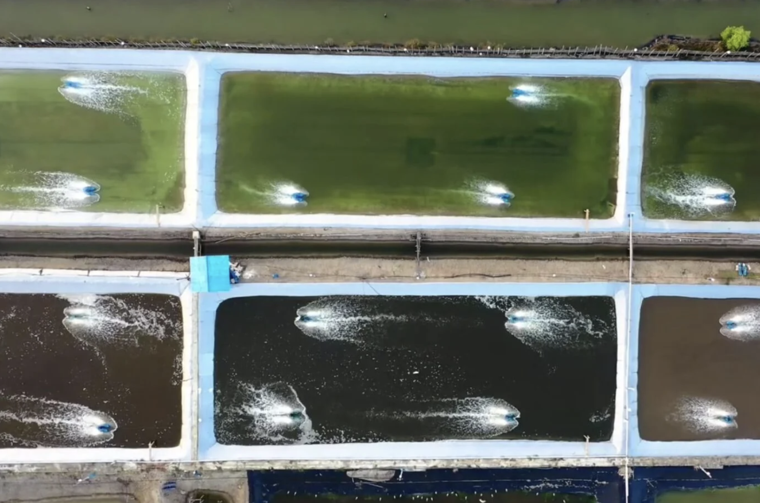 Así se reinventa la acuicultura en España: tecnología invisible, tradición viva y peces más felices